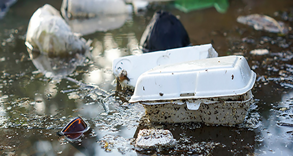Action Alert: Ban Single-Use Plastic in California
