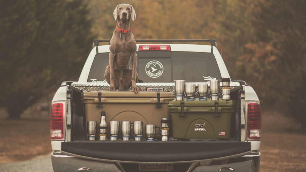 ORCA Truck HardSidedCoolersandDrinkware 11